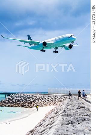 17エンドビーチに舞い降りる大型旅客機 127785406