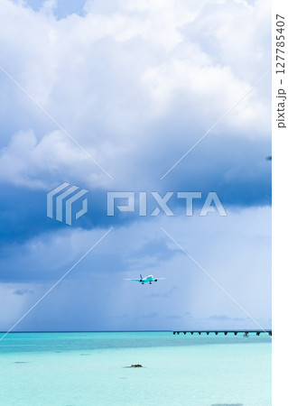 17エンドビーチに舞い降りる大型旅客機 127785407