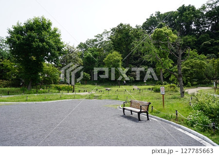 蒔田の森公園 蒔田の森公園 127785663
