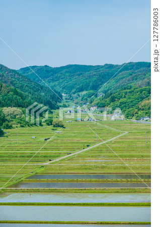 田植えの始まった農村【長野県】 田植えの始まった農村【長野県】 127786003