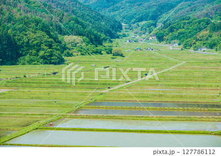 田植えの始まった農村【長野県】 田植えの始まった農村【長野県】 127786112