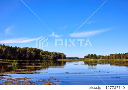 Serene Riverbank Scene with Lush Greenery 127787340