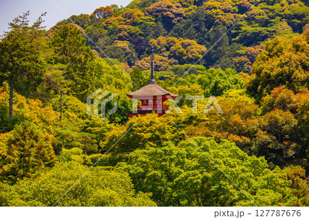 【京都風景】清水寺と京都市街の美しい遠景 【京都風景】清水寺と京都市街の美しい遠景 127787676