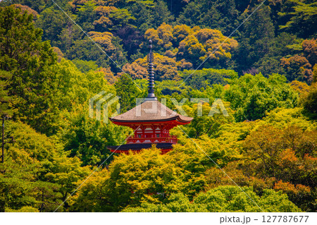 【京都風景】清水寺と京都市街の美しい遠景 127787677