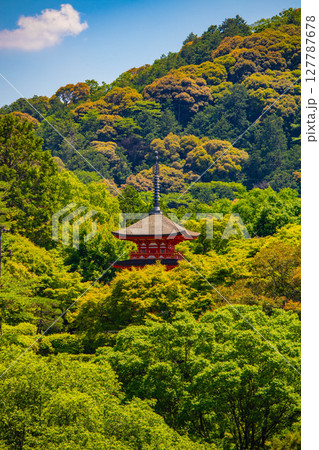 【京都風景】清水寺と京都市街の美しい遠景 127787678