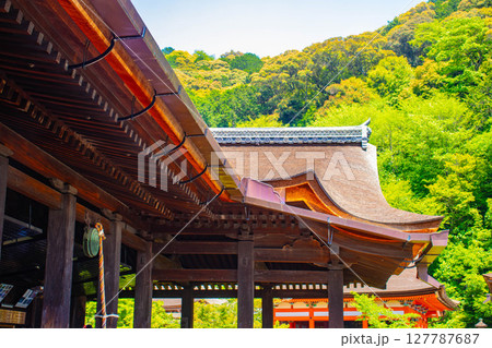 【京都風景】清水寺と京都市街の美しい遠景 127787687
