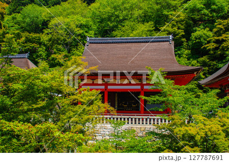 【京都風景】清水寺と京都市街の美しい遠景 【京都風景】清水寺と京都市街の美しい遠景 127787691