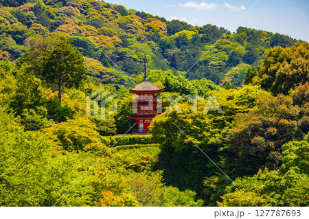 【京都風景】清水寺と京都市街の美しい遠景 【京都風景】清水寺と京都市街の美しい遠景 127787693