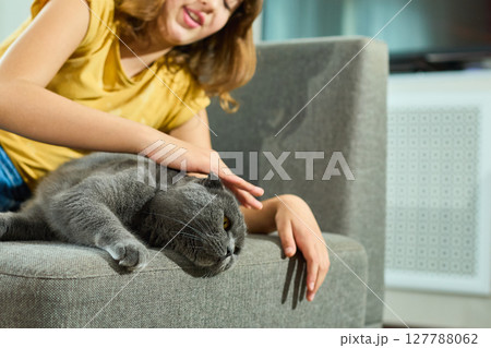 Teen girl enjoys affectionate moment with Scottish Fold cat at home during a cozy afternoon Teen girl enjoys affectionate moment with Scottish Fold cat at home during a cozy afternoon 127788062