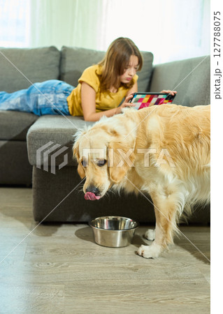 Teen girl relaxes on couch, using tablet while golden retriever enjoys meal nearby in a cozy living room 127788075