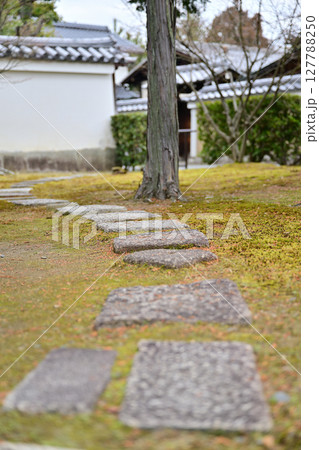 京都　相国寺 127788250