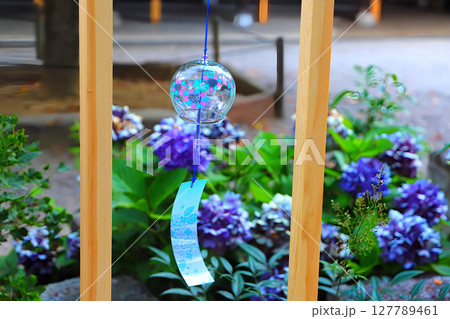 富山県射水市・櫛田神社:紫陽花と風鈴 127789461