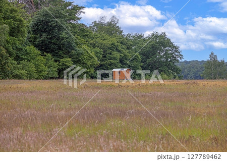 Small wooden hut at forest edge in summer Small wooden hut at forest edge in summer 127789462