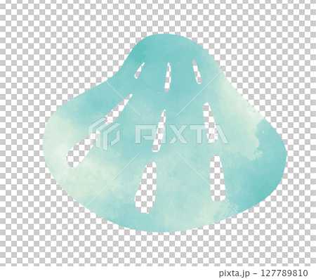 貝殻の水彩イラスト3 127789810