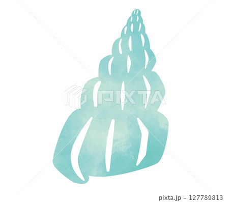 貝殻の水彩イラスト 127789813