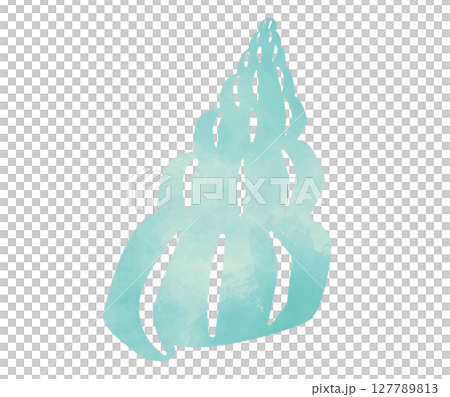 貝殻の水彩イラスト 127789813