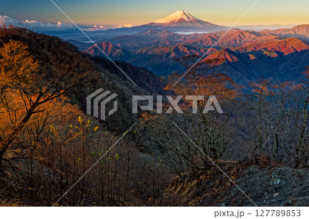 丹沢・檜洞丸から見る朝焼けの富士山 丹沢・檜洞丸から見る朝焼けの富士山 127789853