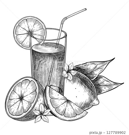 Vector illustration of Glass with Lemon slice, Citrus fruits, ice cubes, and leaves. Vintage botanical engraving of orange drink for summer menus, and food packaging. Linear drawing of cocktail. 127789902
