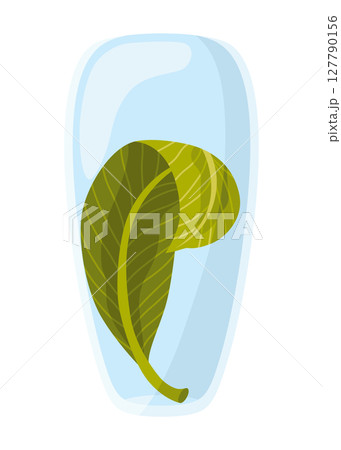 Aromatherapy natural traditional medicine icon. Healthcare concept. Flat graphic vector illustrations isolated on white background 127790156