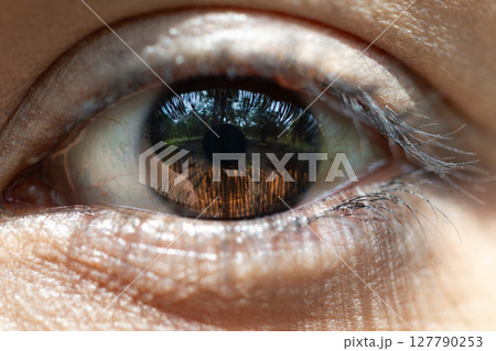 Eye, woman, close-up, reflection, summer Eye, woman, close-up, reflection, summer 127790253
