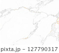 ホワイトマーブルの大理石模様 127790317