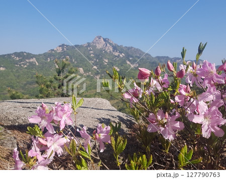 green mountain slope with mountain green mountain slope with mountain 127790763