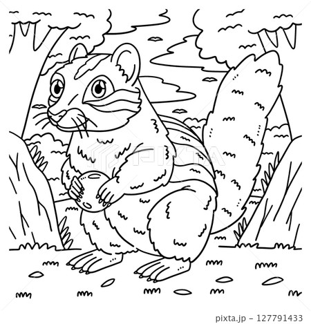 Forest Animal Ground Squirrel Coloring Page  Forest Animal Ground Squirrel Coloring Page  127791433