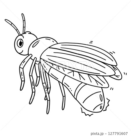Forest Animal Firefly Isolated Coloring Page  127791607