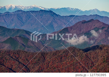丹沢・檜洞丸から見る晩秋の今倉山・三ツ峠と南アルプスの山並み 127791995