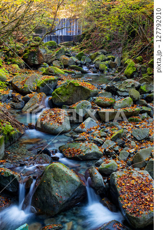 秋色の西丹沢・用木沢の流れ 秋色の西丹沢・用木沢の流れ 127792010
