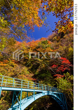 錦秋の西丹沢・用木沢橋 127792013