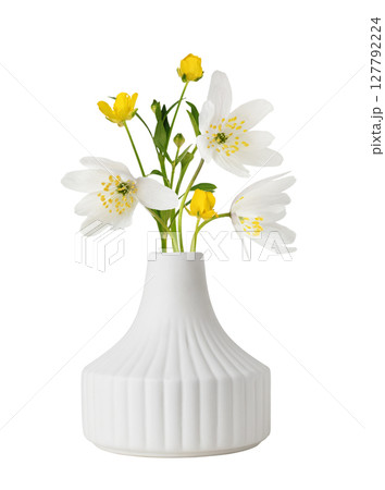 Small bouquet of wild anemones and wild ranunculus flowers in a ceramic vase isolated on white Small bouquet of wild anemones and wild ranunculus flowers in a ceramic vase isolated on white 127792224
