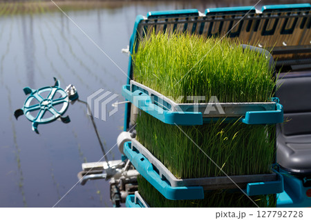 予備苗台に乗せられた米の苗。稲作のシーズンと田植え機 127792728