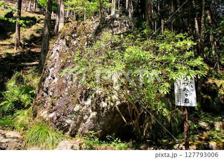 京都・鴨川の水源『貴船川』沿いに建つ… 貴船神社・奥宮 京都・鴨川の水源『貴船川』沿いに建つ… 貴船神社・奥宮 127793006