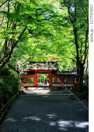 京都・鴨川の水源『貴船川』沿いに建つ… 貴船神社・奥宮 127793007