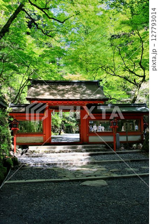 京都・鴨川の水源『貴船川』沿いに建つ… 貴船神社・奥宮 127793014