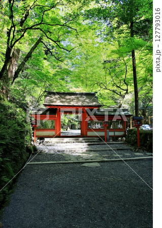 京都・鴨川の水源『貴船川』沿いに建つ… 貴船神社・奥宮 京都・鴨川の水源『貴船川』沿いに建つ… 貴船神社・奥宮 127793016