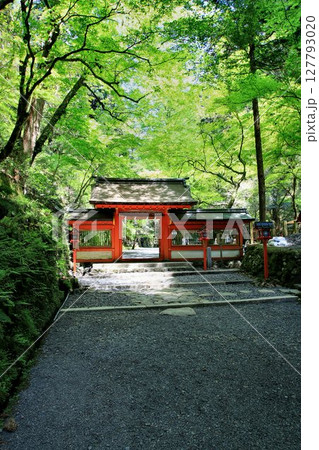 京都・鴨川の水源『貴船川』沿いに建つ… 貴船神社・奥宮 127793020