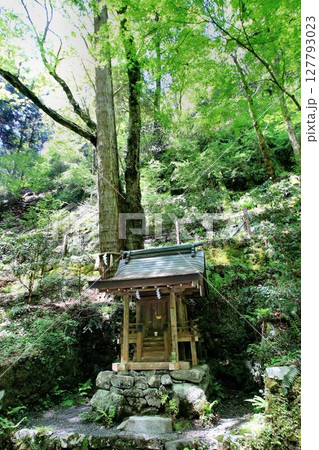 京都・鴨川の水源『貴船川』沿いに建つ… 貴船神社・奥宮 京都・鴨川の水源『貴船川』沿いに建つ… 貴船神社・奥宮 127793023