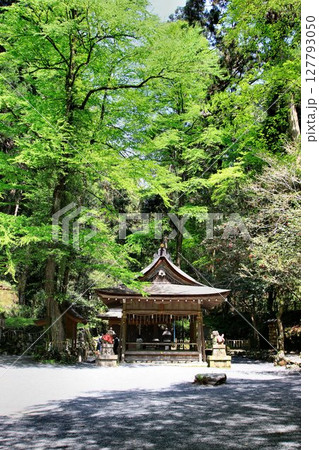 京都・鴨川の水源『貴船川』沿いに建つ… 貴船神社・奥宮 京都・鴨川の水源『貴船川』沿いに建つ… 貴船神社・奥宮 127793050