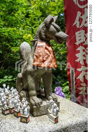 Inari fox statue at Sasuke Inari-jinja in Kamakura, Japan 127793080