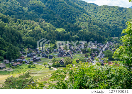 Traditional thatched houses of Shirakawa-go village in rural Japan. Panoramic view Traditional thatched houses of Shirakawa-go village in rural Japan. Panoramic view 127793081