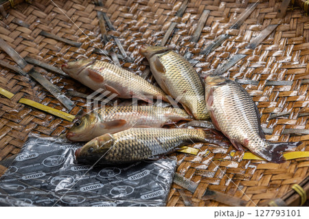 Fresh fish at Pasar Bolu market in Rantepao, Toraja, Sulawesi, Indonesia 127793101