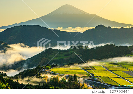 富士山を望む緑の楽園 127793444