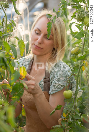 Portrait of beautiful woman picking up vegetables in greenhouse 127793542