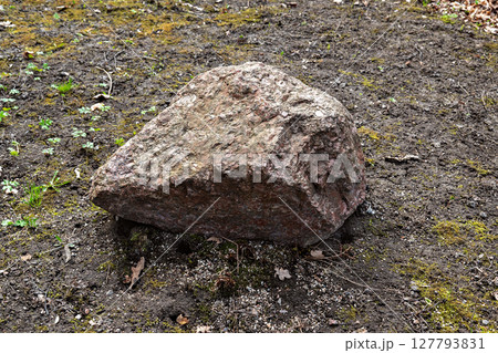 Boulder on the ground. 127793831
