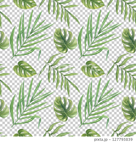 Tropical leaves watercolor seamless pattern isolated background. Hand painted monstera, philodendron, areca palm leaf illustration for wallpaper, textile design, packaging, summer decor 127793839