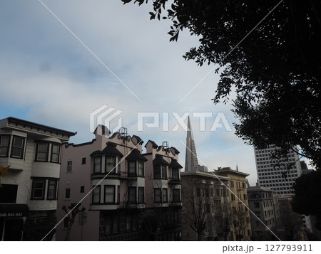 アメリカ屈指の観光都市　サンフランシスコの風景 127793911
