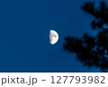 薄明の半月 127793982