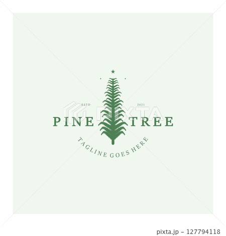 simple pine or fir tree logo,evergreen.for pine forest,adventurers,camping,nature,badges and business.vector simple pine or fir tree logo,evergreen.for pine forest,adventurers,camping,nature,badges and business.vector 127794118